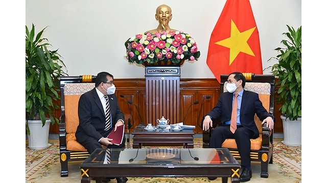 Le ministre des Affaires étrangères, Bùi Thanh Son (à droite), et l’ambassadeur du Panama Eligio Alberto Salas De León.  Photo : Ministère vietnamien des Affaires étrangères.