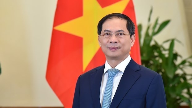 Le ministre des Affaires étrangères, Bui Thanh Son. Photo: baoquocte.vn