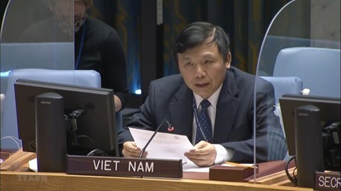 L'ambassadeur Dang Dinh Quy, chef de la Mission permanente du Vietnam auprès de l'ONU.  Photo : VNA.