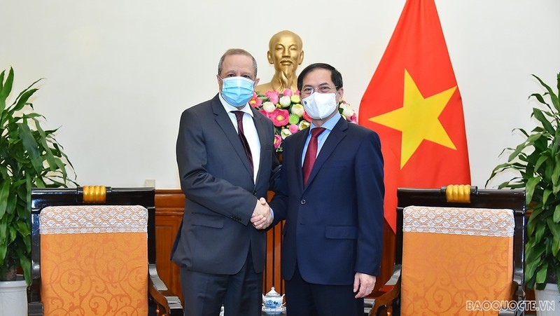 Le ministre vietnamien des Affaires étrangères, Bui Thanh Son (à droite) et l’ambassadeur algérien au Vietnam, Mohamed Berrah. Photo: baoquocte.vn