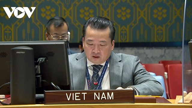 L’ambassadeur Pham Hai Anh, chargé d’affaires par intérim du Vietnam auprès de l’ONU. Photo : VOV.