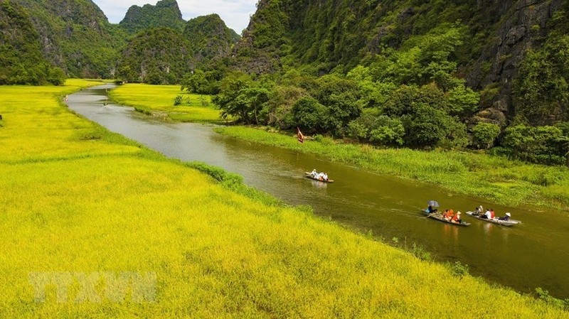 N’oubliez pas de profiter d’une croisière en barque au fil de la rivière Ngo Dông. Photo: VNA