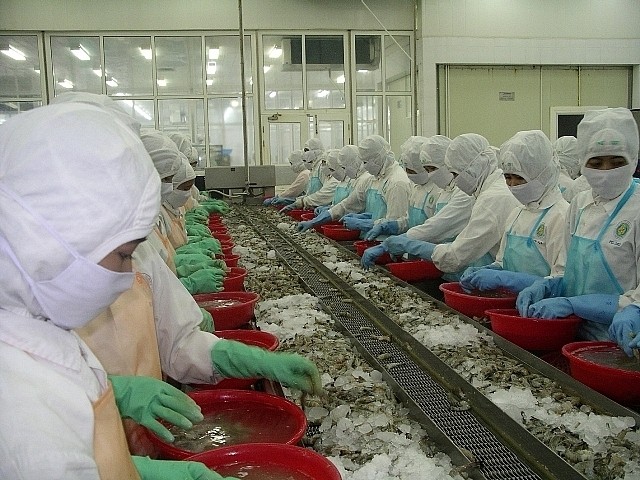 Transformation de crevettes pour l'exportation. Photo : congthuong.vn