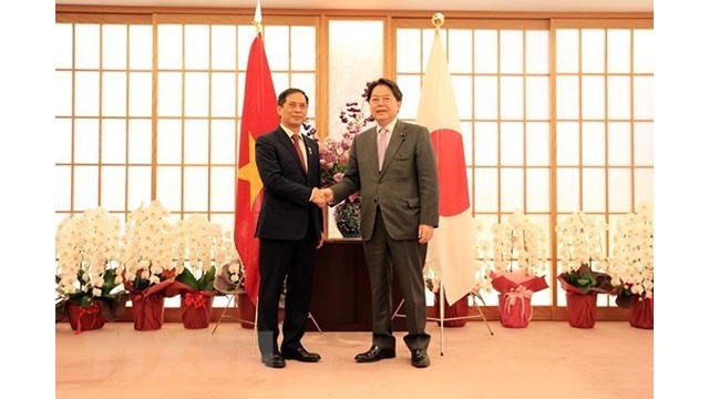 Le ministre vietnamien des Affaires étrangères, Bùi Thanh Son (à gauche), et son homologue japonais, Yoshimasa Hayashi. Photo : VNA.