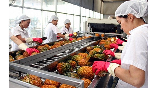  Les États-Unis augmentent leurs importations de fruits et légumes transformés du Vietnam. Photo : congthuong.vn