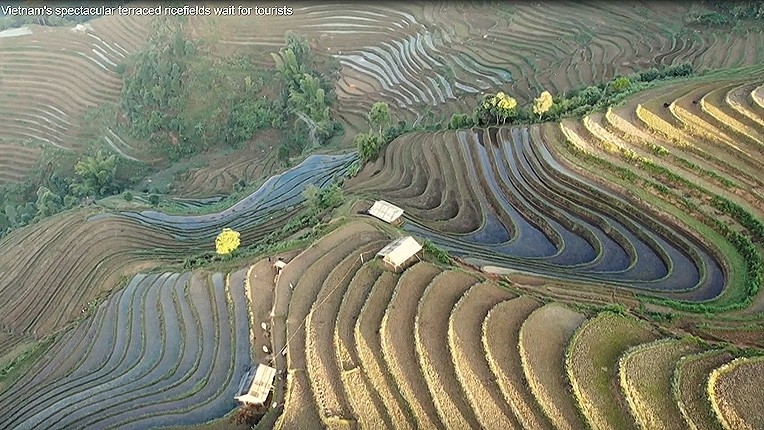 Une image des champs en terrasse de Mù Cang Chai du clip de l'AFP. Photo : NDEL.