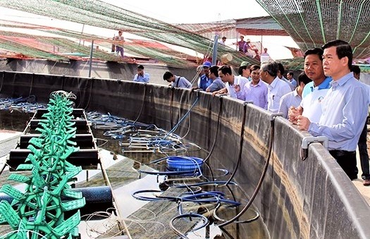 Les dirigeants de la province de Bà Ria-Vung Tàu visitent un modèle d’élevage de crevettes de haute technologie dans l’établissement d’élevage de Liên Giang (district de Long Diên).