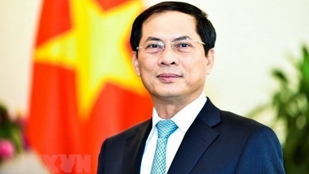 Le ministre vietnamien des Affaires étrangères Bùi Thanh Son.  Photo : VNA