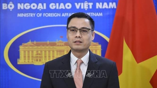 Le vice-ministre des Affaires étrangères, Dang Hoang Giang. Photo: VNA