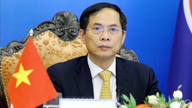Le ministre des Affaires étrangères Bui Thanh Son. Photo : VNA