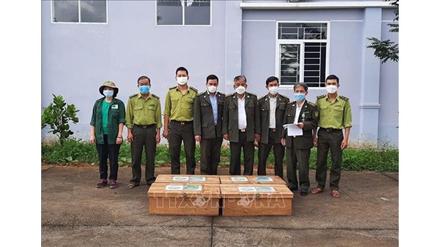 Le groupe de travail du parc national de Cuc Phuong reçoit des animaux sauvages. Photo : VNA.