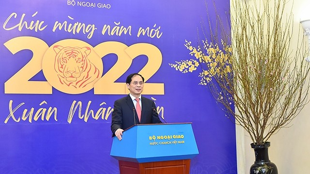 Le ministre des Affaires étrangères Bui Thanh Son. Photo : vnmedia.vn