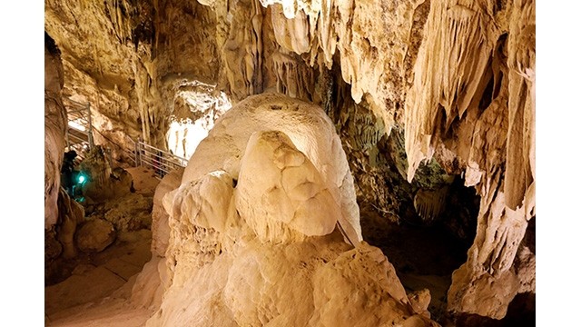 Des stalactites dans la caverne de Không Day (sans fond). Photo : NDEL.