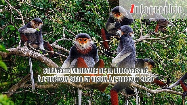 [Infographie] Stratégie nationale de la biodiversité à l’horizon 2030 et vision à l’horizon 2050