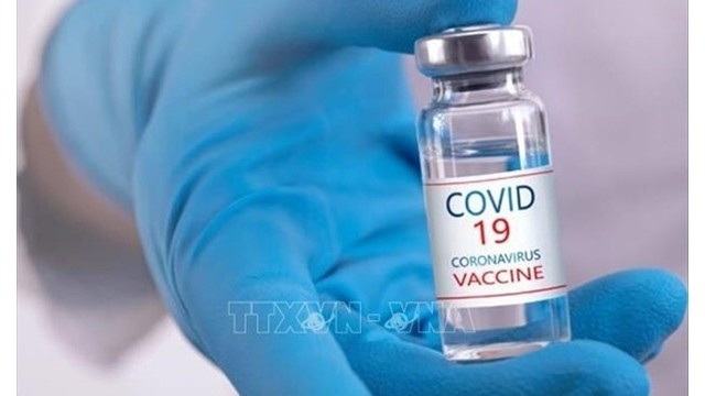 Vaccin anti-Covid-19. Photo : VNA.