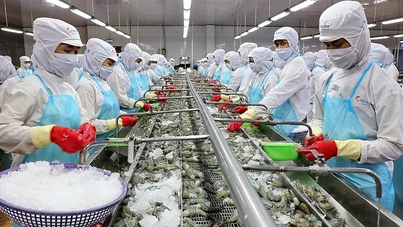Si la situation mondiale ne connaît pas de grandes fluctuations, les exportations de crevettes du Vietnam en 2022 progresseront de 10 à 12 %, selon le représentant de la VASEP. Photo: congthuong.vn