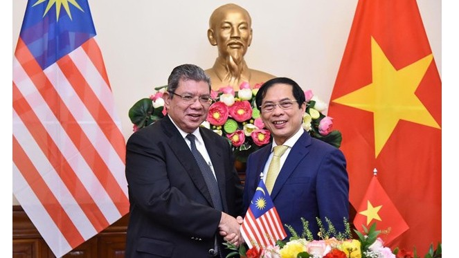 Le ministre vietnamien des AE, Bui Thanh Son (à droite) et son homologue malaisien, Saifuddin Abdullah. Photo: VNA