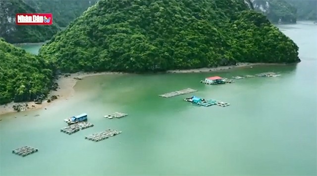 Hai Phong : le captivant village de pêcheurs de Trà Bau dans la baie de Lan Ha