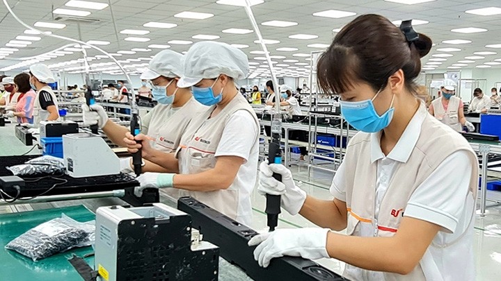 Dans l'usine des produits électroniques de Bumjin Vina à Quang Ninh (au Nord-Est du Vietnam). Photo : NDEL.