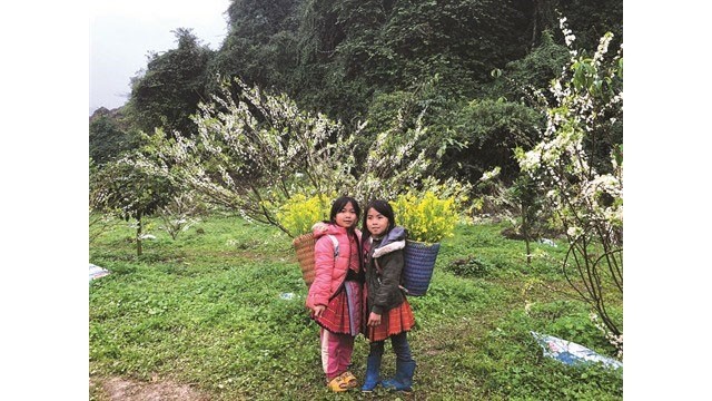 Deux fillettes H’mông à Tân Lâp, district de Môc Châu, province de Son La (Nord). Photo : CVN