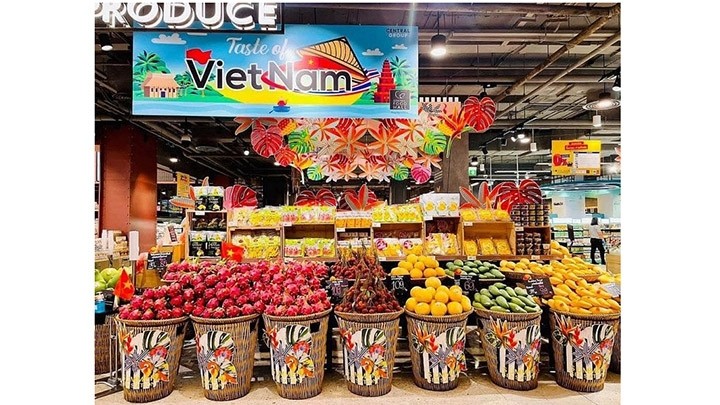Les opportunités pour les exportations de fruits du Vietnam vers le marché américain restent énormes. Photo : MOIT.