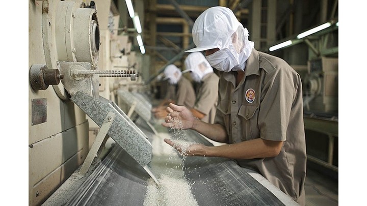 Dans une usine de riz au Sud. Photo : dantri.com.vn