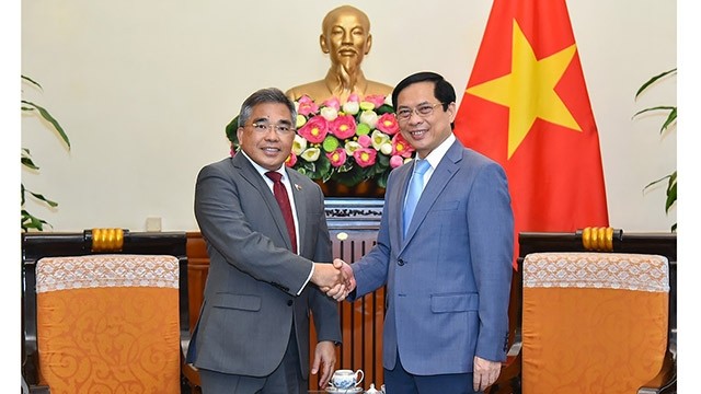 Le ministre des Affaires étrangères, Bùi Thanh Son (à droite) et ambassadeur des Philippines au Vietnam, Meynardo Montealegre. Photo : baoquocte.vn.