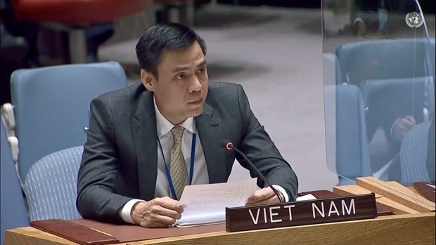 L'ambassadeur Dang Hoang Giang. Photo: VNA
