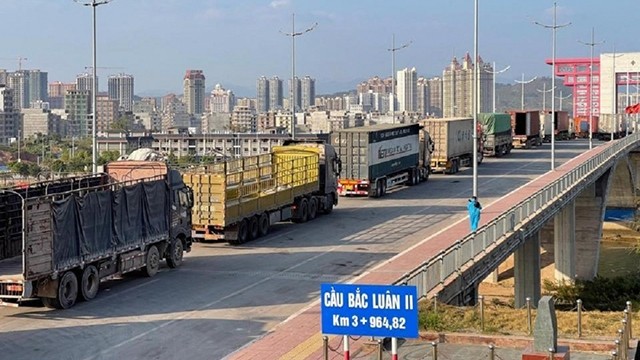 Entre le 26 avril et le 16 mai, le volume de marchandises importées et exportées par la porte frontière du pont Bac Luân II a atteint 11 266 tonnes. Photo : congthuong.vn.