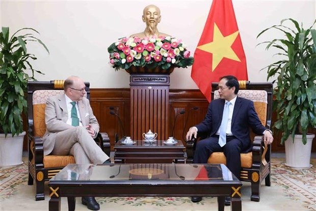 Le ministre des Affaires étrangères, Bùi Thanh Son (à droite), reçoit Robert Rydberg, Secrétaire d'État suédois aux Affaires étrangères. Photo : VNA.