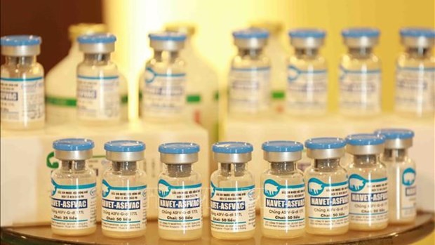 Le vaccin Navet-ASFVAC de la Compagnie nationale par actions de médecine vétérinaire (Navetco) contre la peste porcine africaine. Photo: VNA