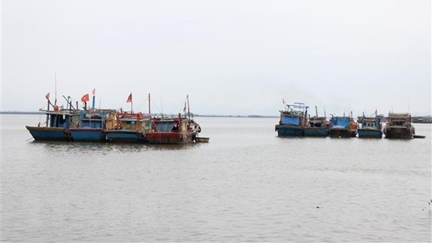 Bateaux de pêche de la province de Quang Tri. Photo: VNA