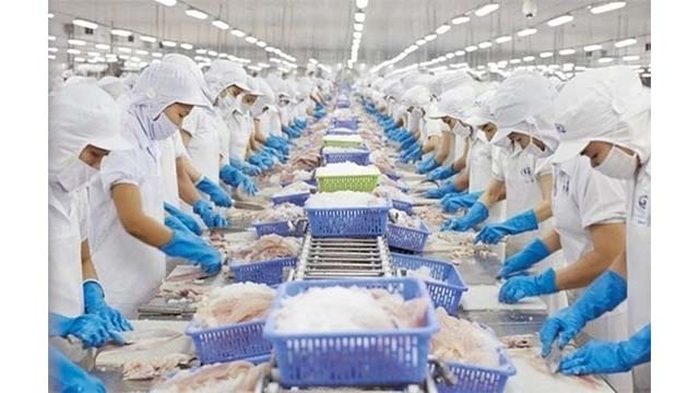 Dans une usine de transformation de fruits de mer. Photo: VNA