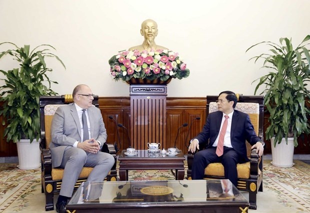 Le ministre vietnamien des Affaires étrangères, Bùi Thanh Son (à droite), et l'ambassadeur du Danemark, Kim Hjlund Christensen. Photo : VNA.