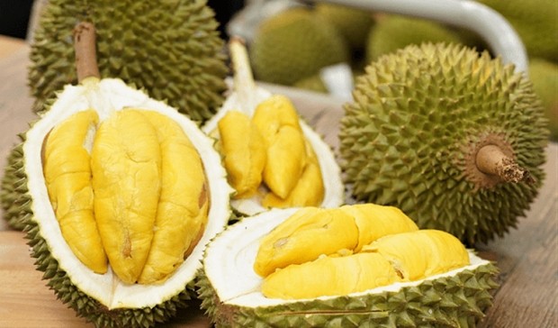 Le Vietnam exporte du durian vers la Chine par les voies officielles. Photo: tuoitre.vn