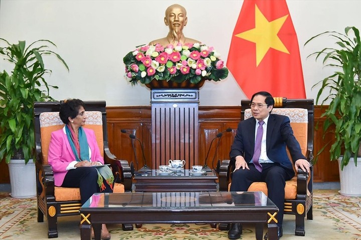 Le ministre des Affaires étrangères Bui Thanh Son et Kanni Wignaraja, sous-secrétaire générale de l’ONU et directrice du Bureau pour l’Asie et le Pacifique du PNUD. Photo: MAE.