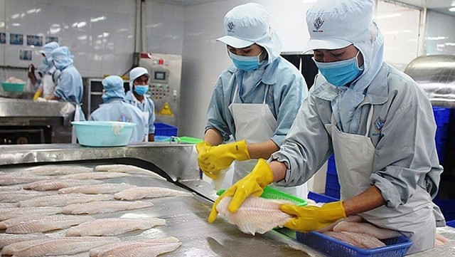 Les fruits de mer sont le principal produit d'exportation du Vietnam vers le marché suisse. Photo : congthuong.vn.